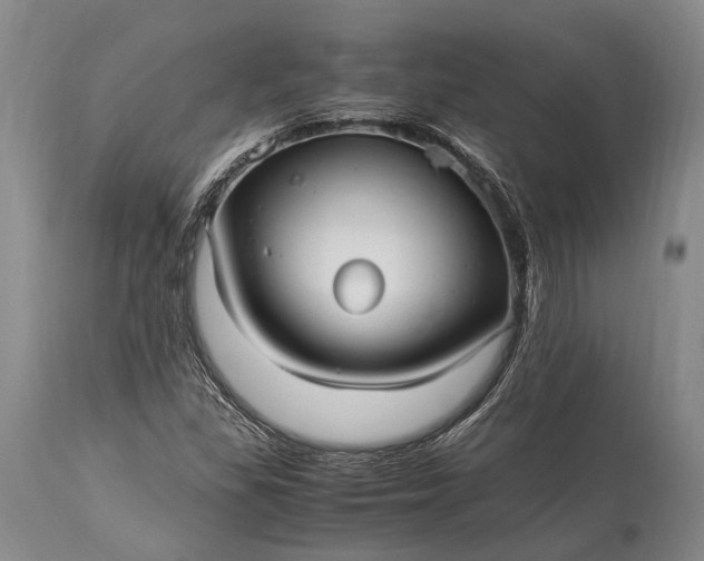 X0000115341309200911161823