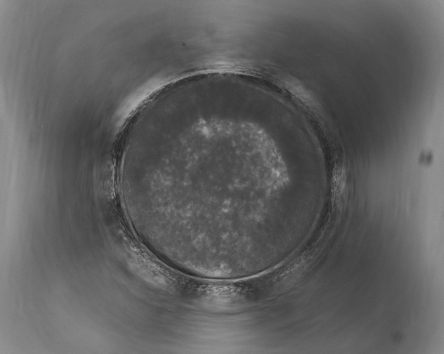 X0000115341310200911161823