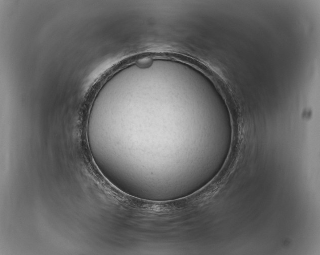X0000115341311200911161823