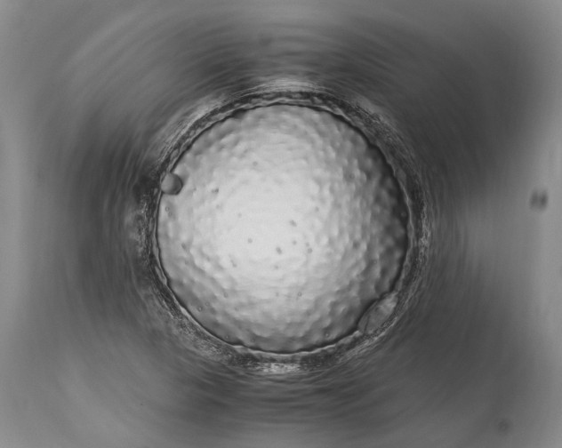 X0000115341313200911161823