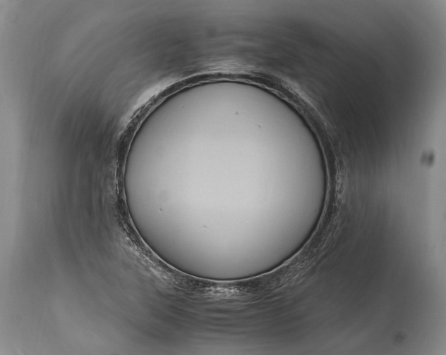 X0000115341315200911161823