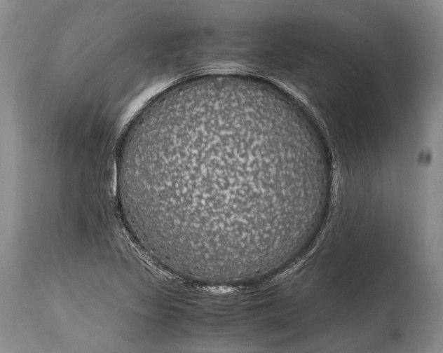 X0000115341317200911161823