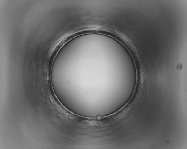 X0000115341318200911161823