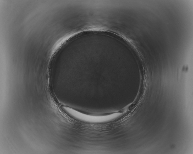 X0000115341319200911161823