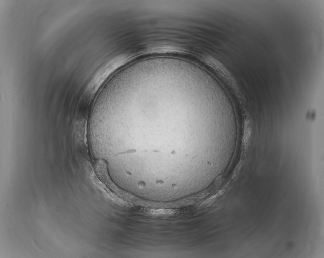 X0000115341321200911161823