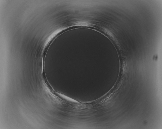 X0000115341323200911161823