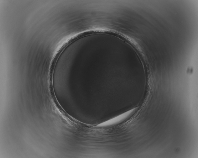 X0000115341327200911161823