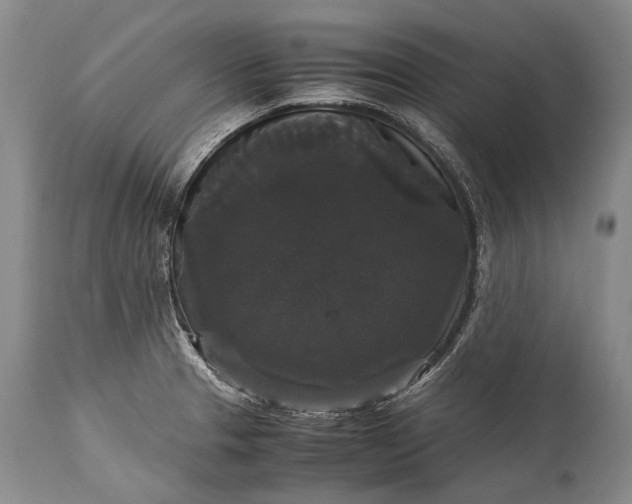 X0000115341329200911161823