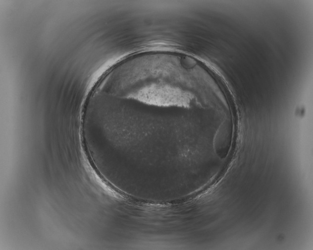 X0000115341333200911161823