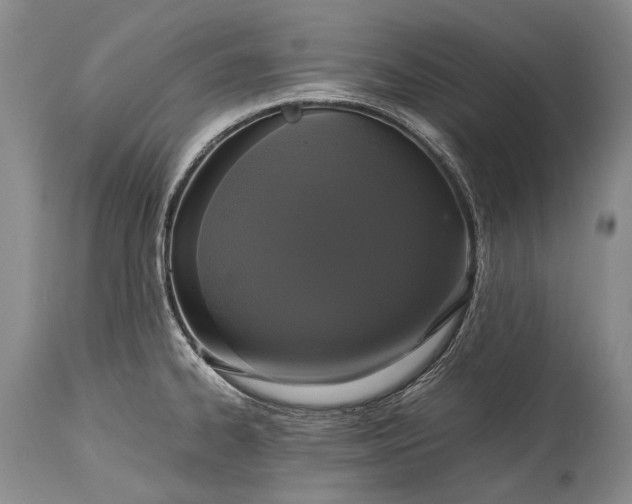 X0000115341334200911161823
