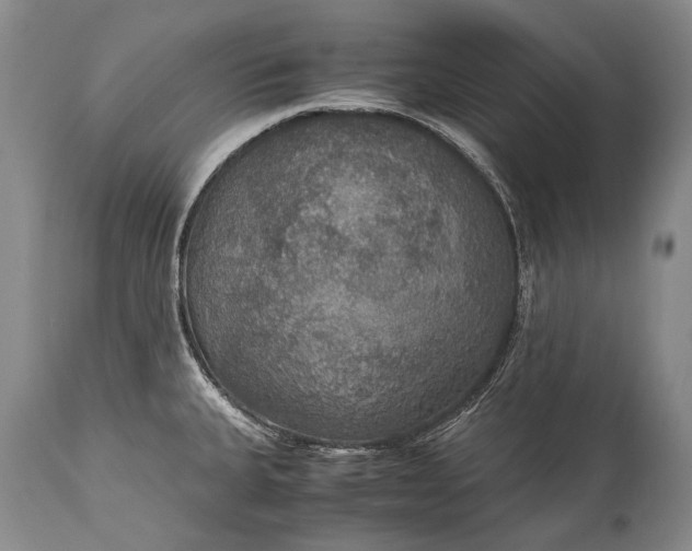 X0000115341335200911161823