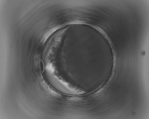X0000115341337200911161823
