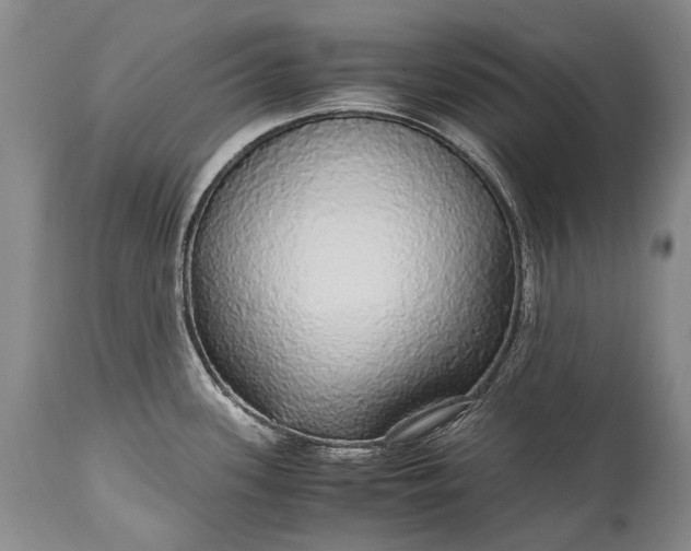 X0000115341339200911161823