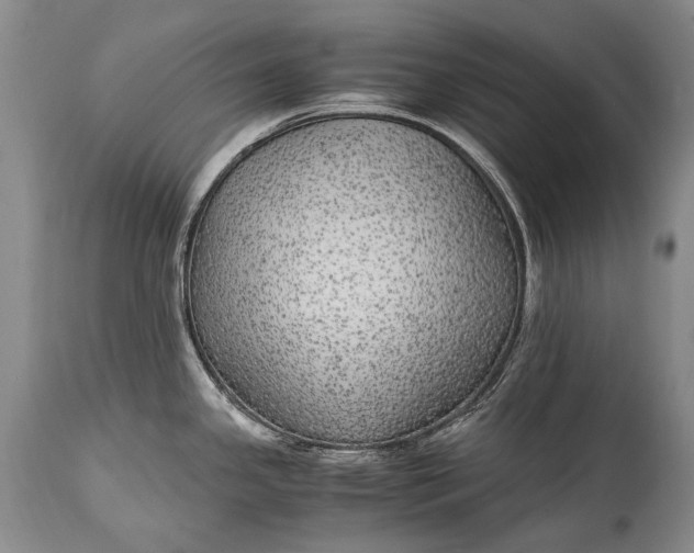 X0000115341341200911161823