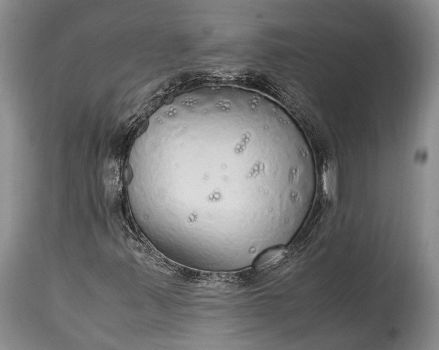 X0000115341347200911161822