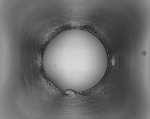 X0000115341348200911161822