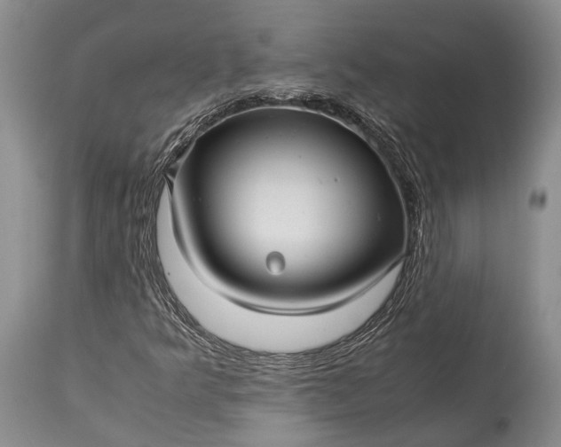 X0000115341349200911161822