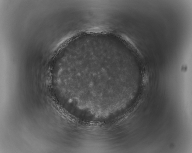 X0000115341350200911161822