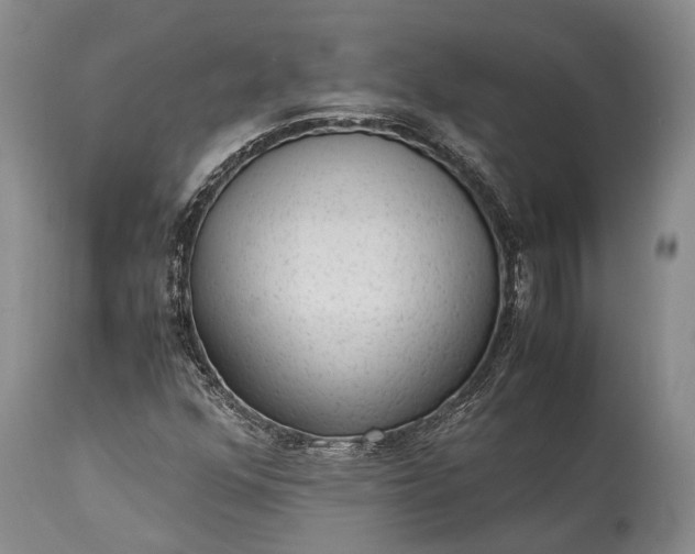 X0000115341352200911161822