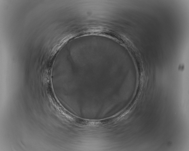 X0000115341353200911161822