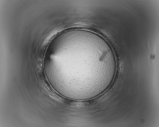 X0000115341355200911161822