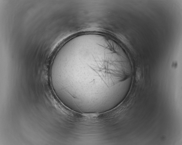 X0000115341356200911161822