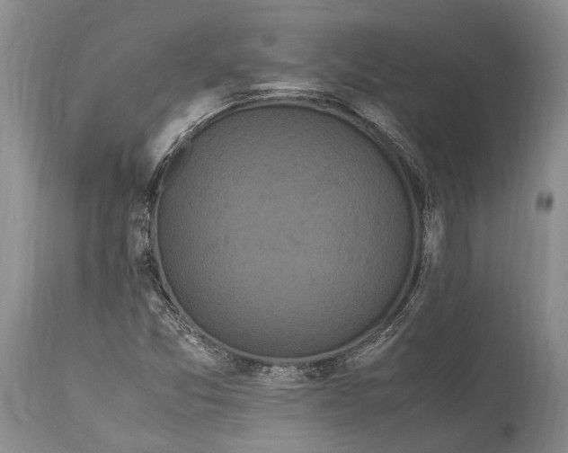 X0000115341357200911161822