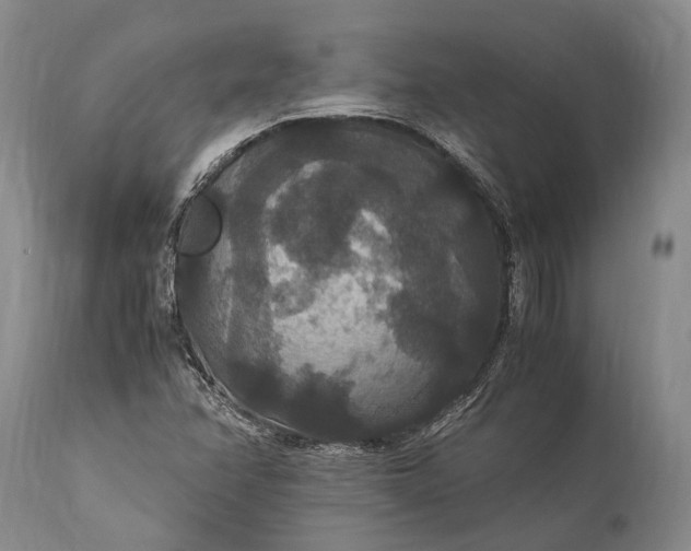 X0000115341358200911161822