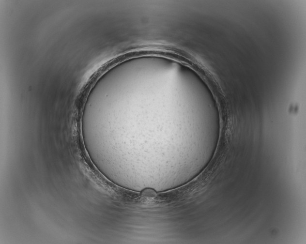 X0000115341360200911161822