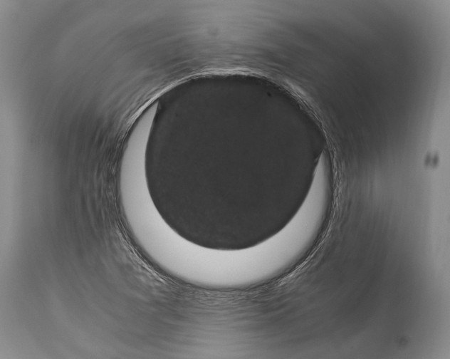 X0000115341361200911161822