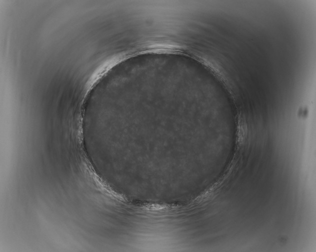 X0000115341362200911161822
