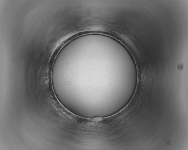 X0000115341364200911161822