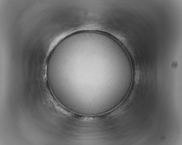 X0000115341366200911161822