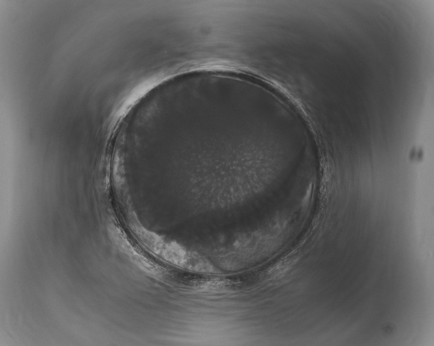 X0000115341367200911161822
