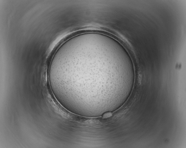 X0000115341368200911161822