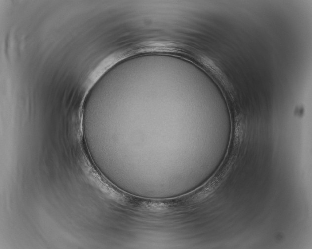 X0000115341370200911161822