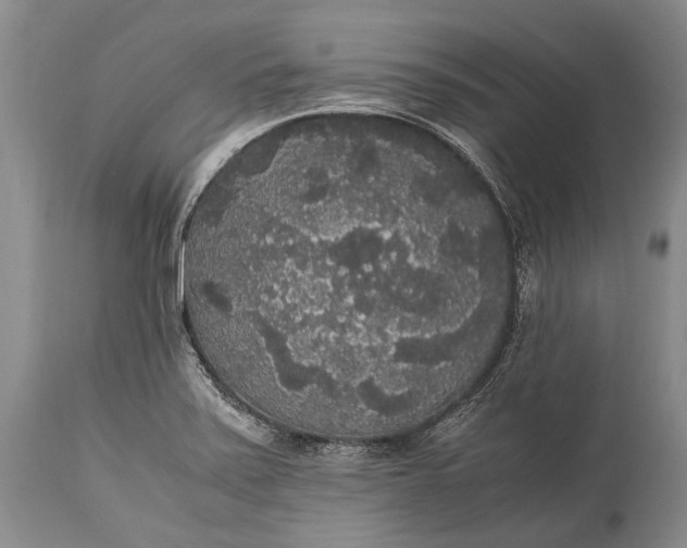 X0000115341371200911161822