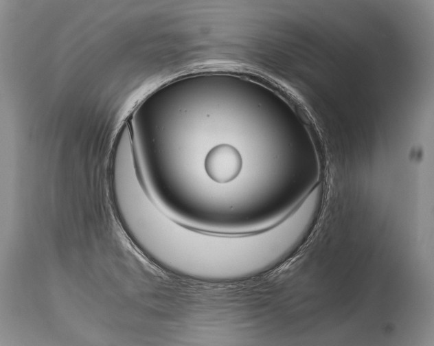 X0000115341373200911161822