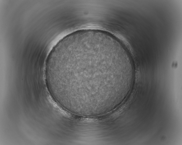 X0000115341374200911161822