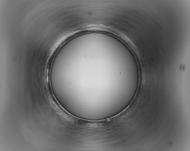 X0000115341376200911161822