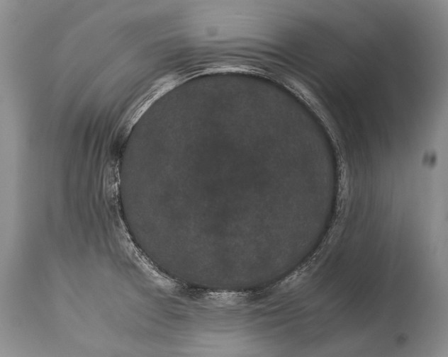 X0000115341377200911161822