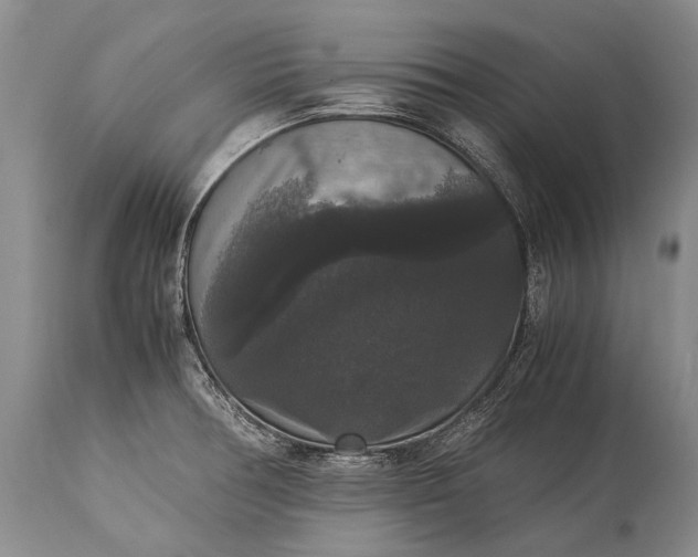 X0000115341378200911161822