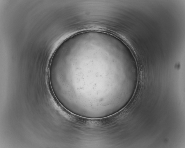 X0000115341379200911161822