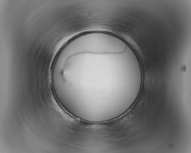 X0000115341380200911161822