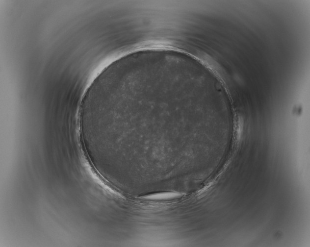 X0000115341382200911161822