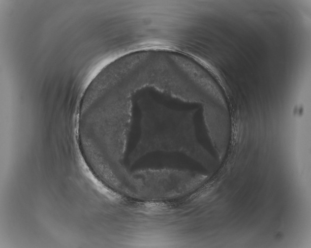 X0000115341383200911161822