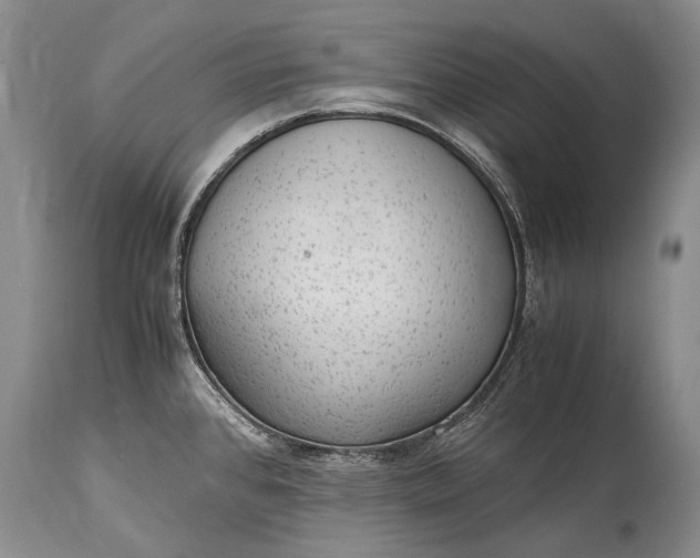 X0000115341384200911161822