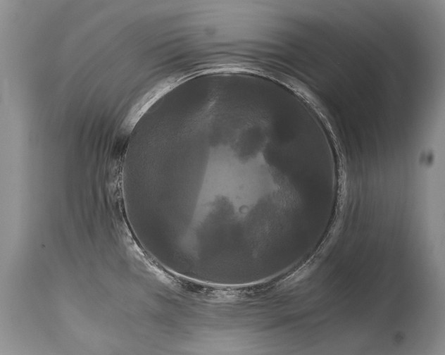 X0000115341385200911161822