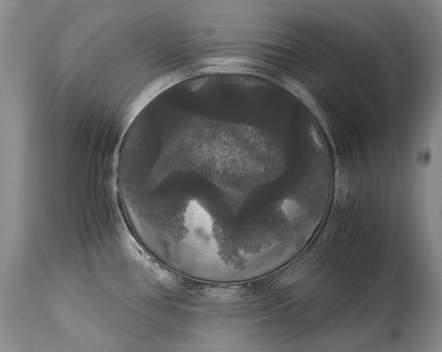 X0000115341386200911161822