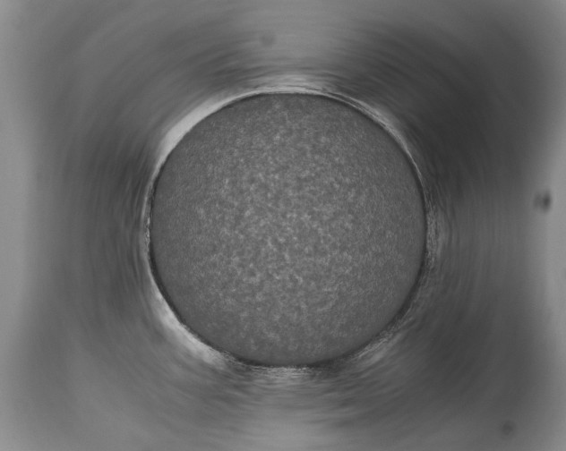 X0000115341387200911161822